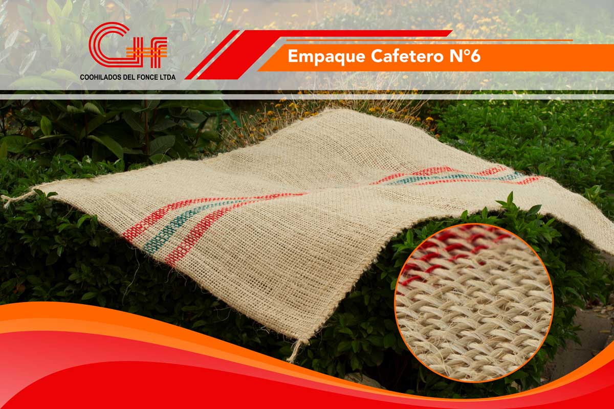 Cafetero N°6 (Bulto de 100 unidades).