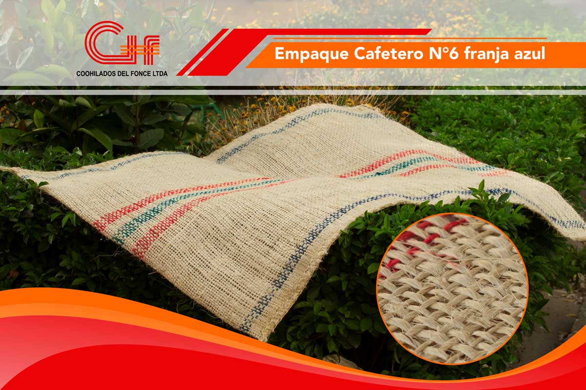 Cafetero N°6 – Franja Azul (Bulto de 100 unidades)