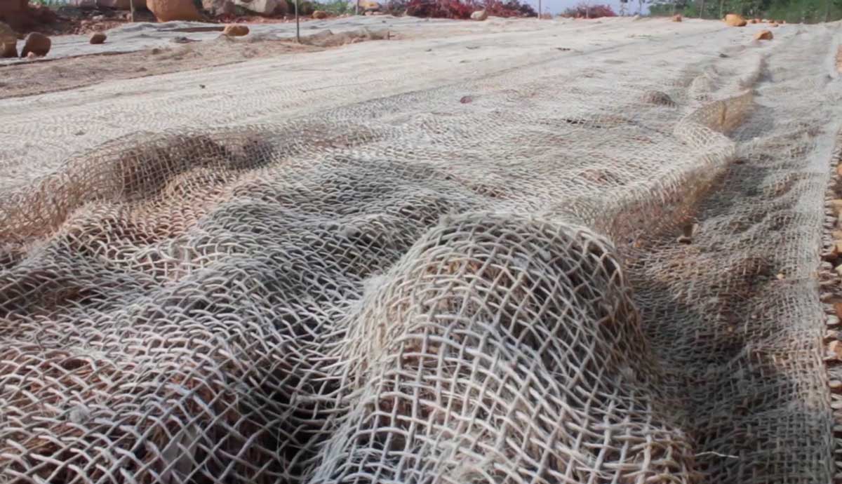 Biomantos de Fique ( manejo de taludes, procesos de revegetaliza