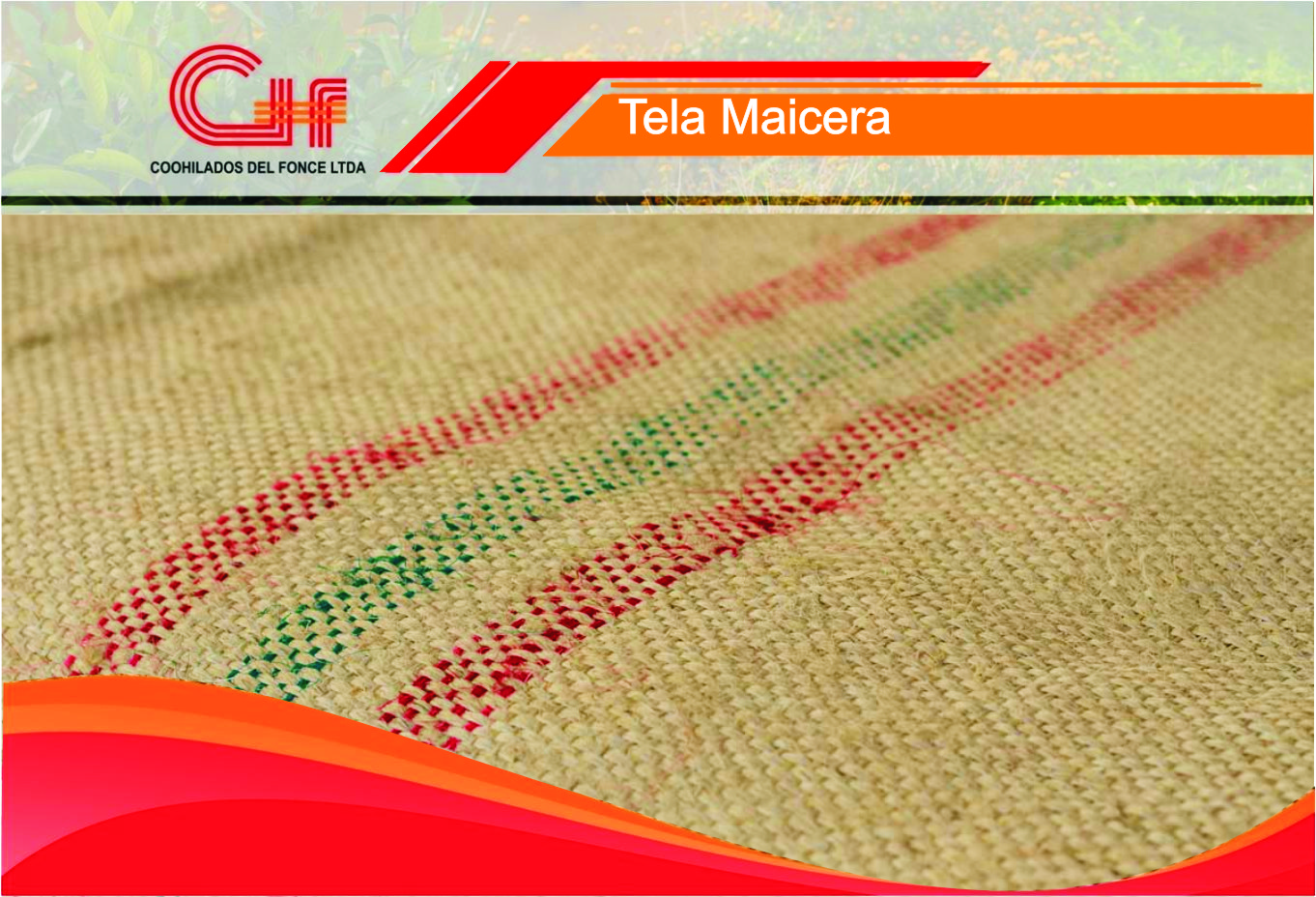 TELA MAICERA